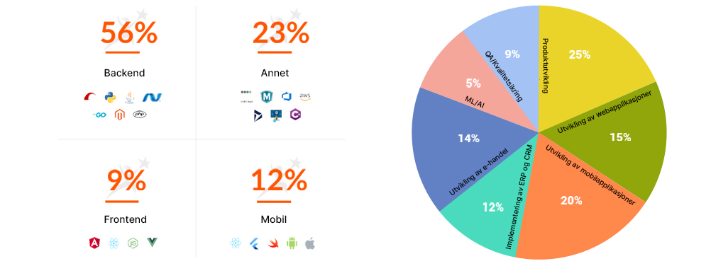 Netsmartz Developers Skill Sets