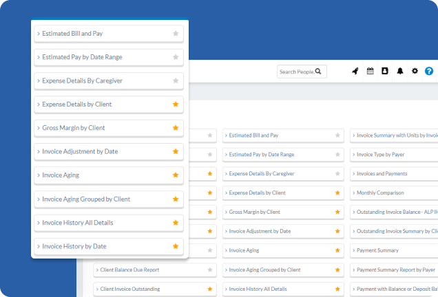 Accounting reports - CareSmartz360